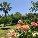 Ozge Vakantiepark 2*