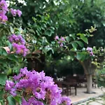 Vakantiepark Ozge
