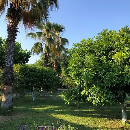 Ozge 2* Çıralı