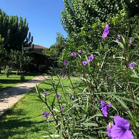 Holiday park Ozge 2*