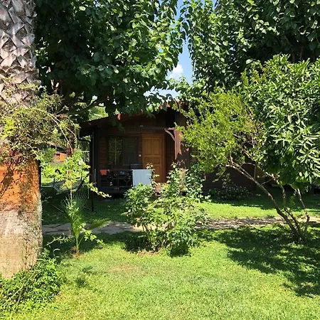 Holiday park Ozge 2*