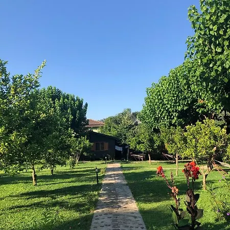 Ozge Holiday park