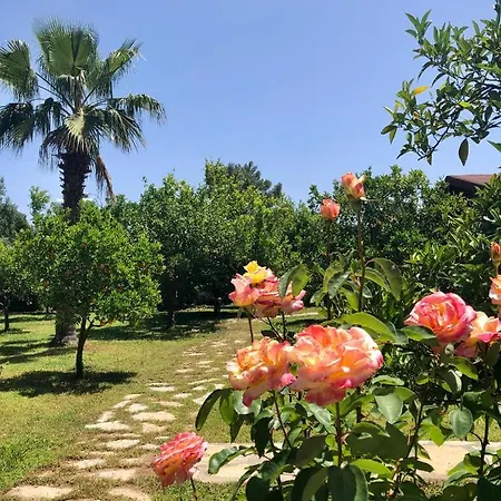 Ozge Holiday park 2*