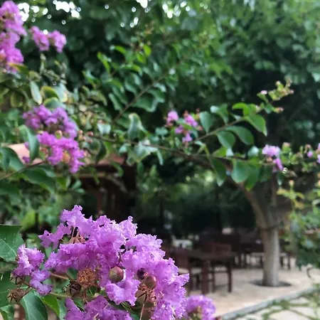 Holiday park Ozge